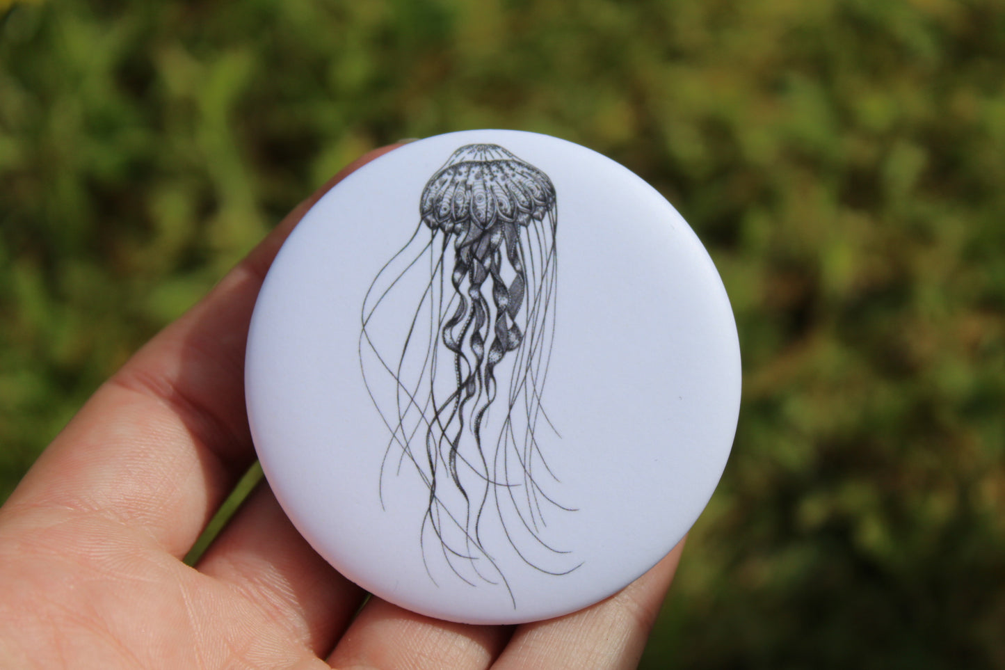 Squid Magnets