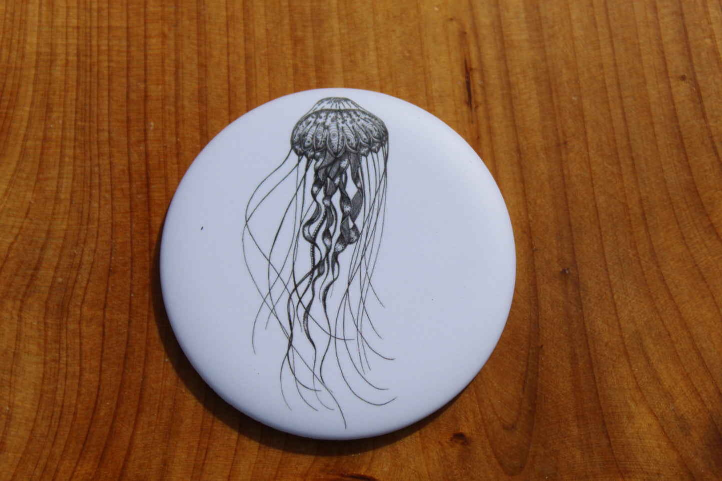 Squid Magnets