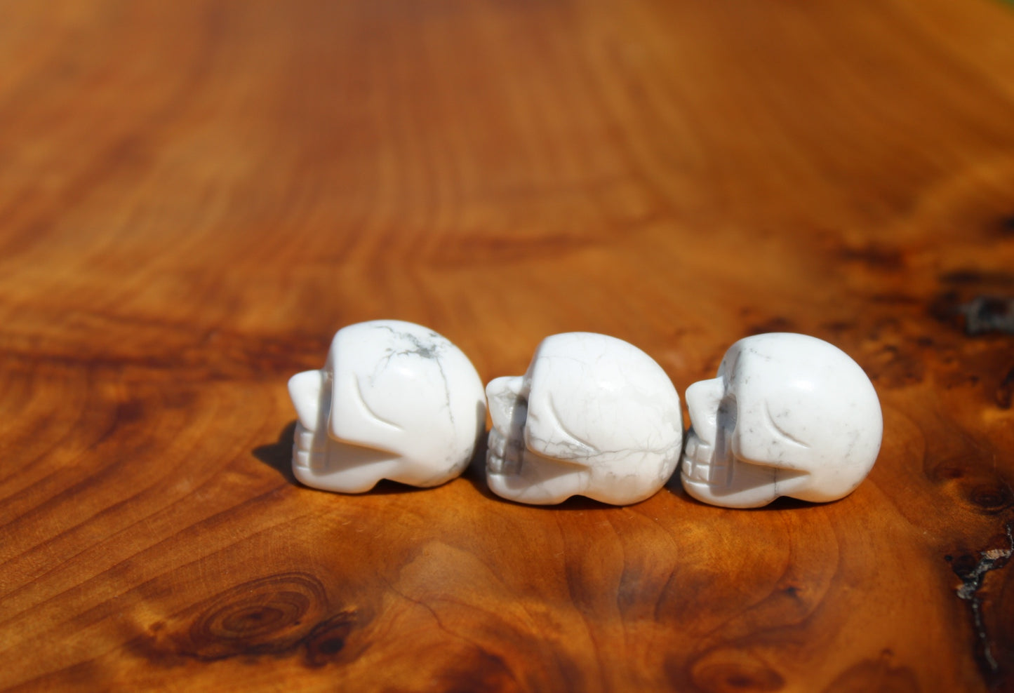 Howlite Small Skulls