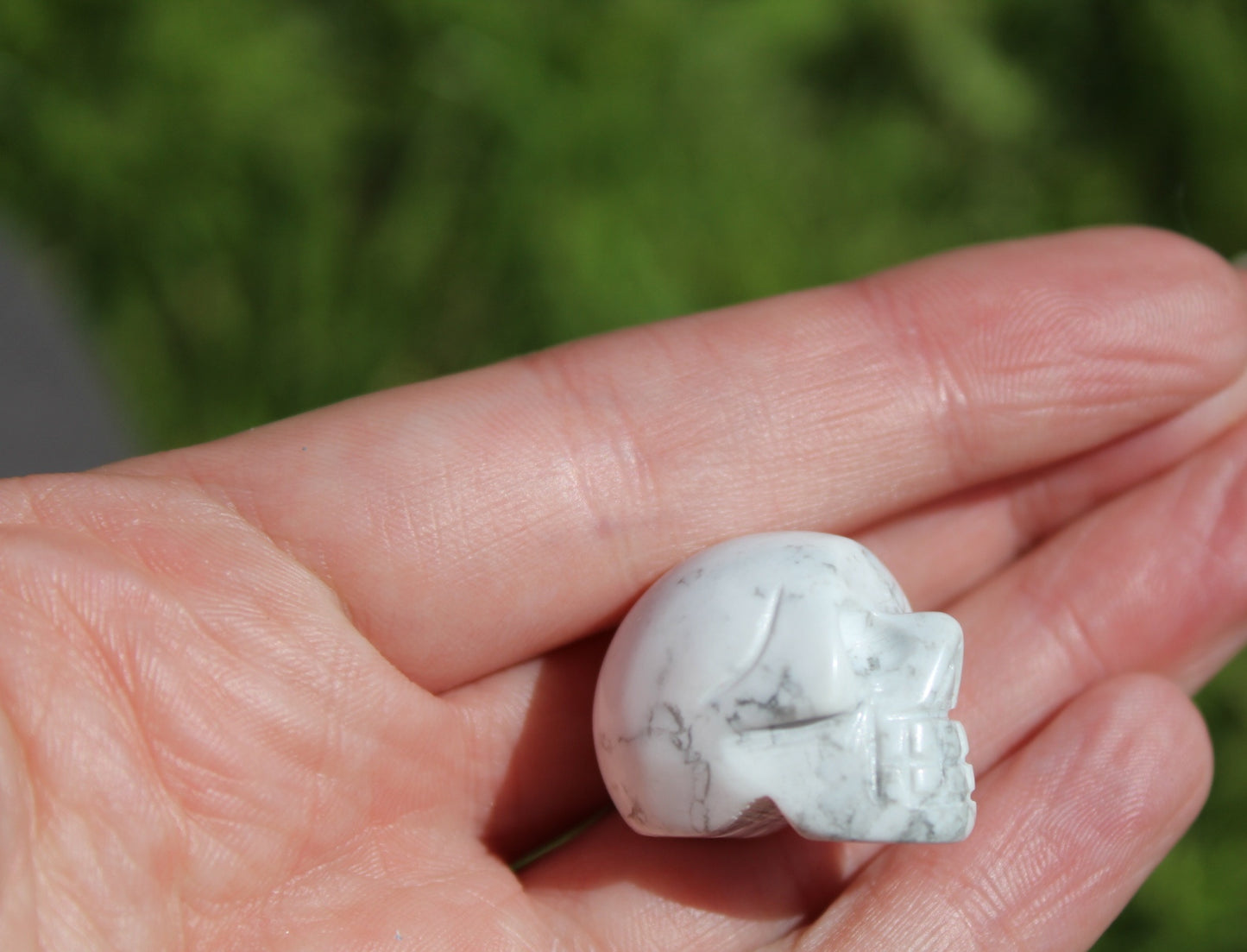 Howlite Small Skulls