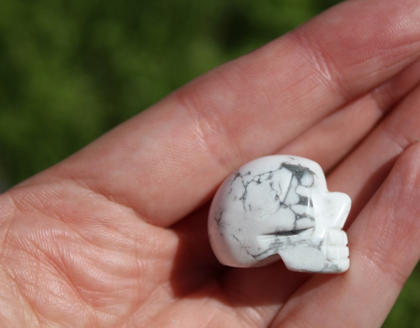 Howlite Small Skulls