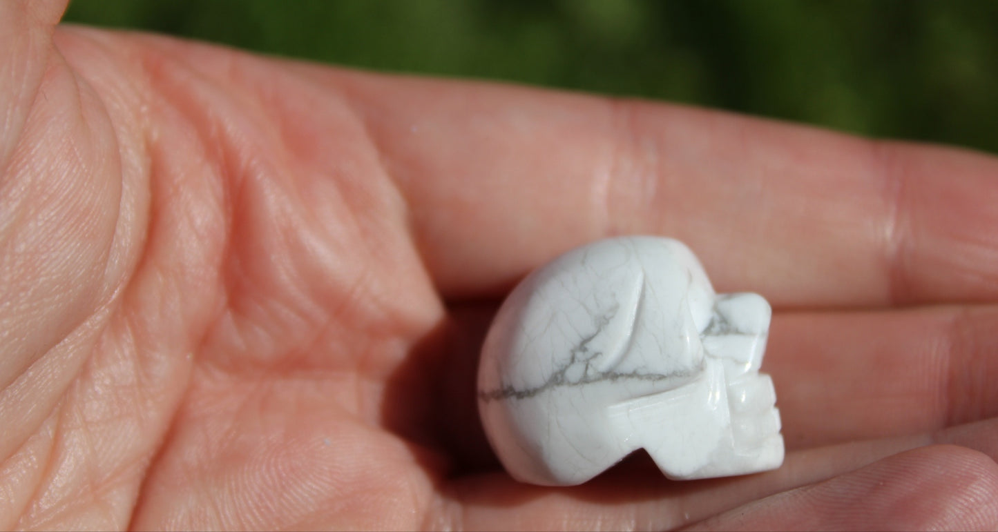 Howlite Small Skulls