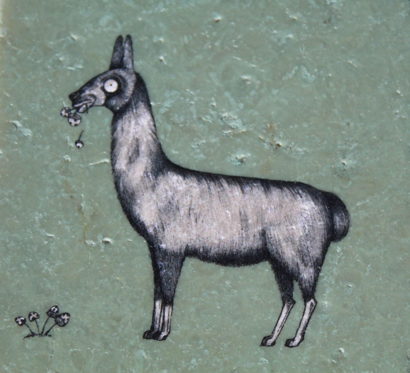 Lhama Coaster