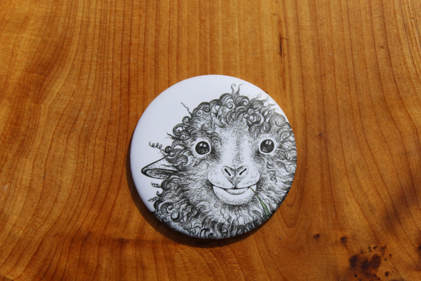 Sheep Magnets