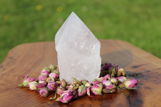 Rose Quartz Rough And Polished Point