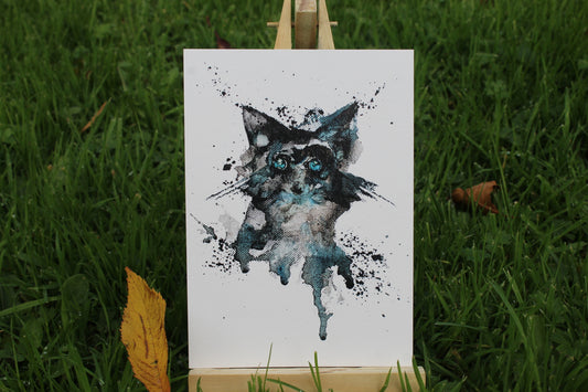 Racoon Art Print