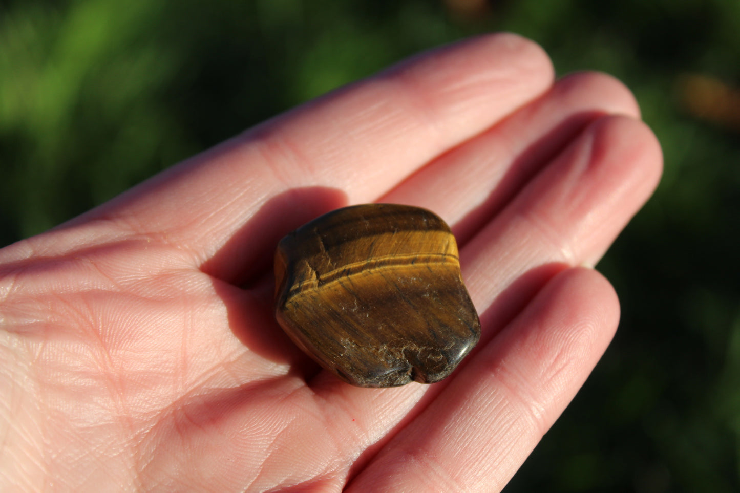 Tigers Eye Tumblestones