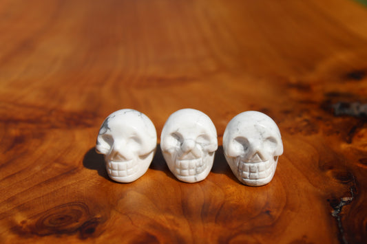 Howlite Small Skulls