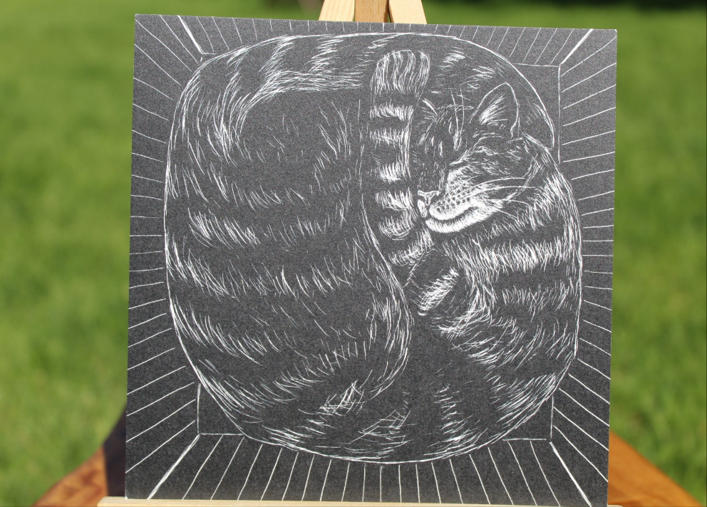 Cut Cat Postcard