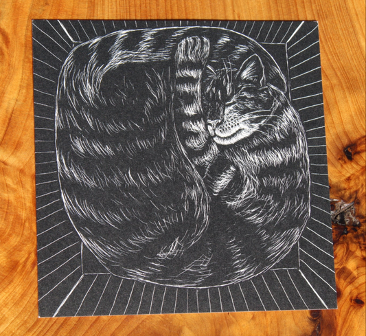 Cut Cat Postcard