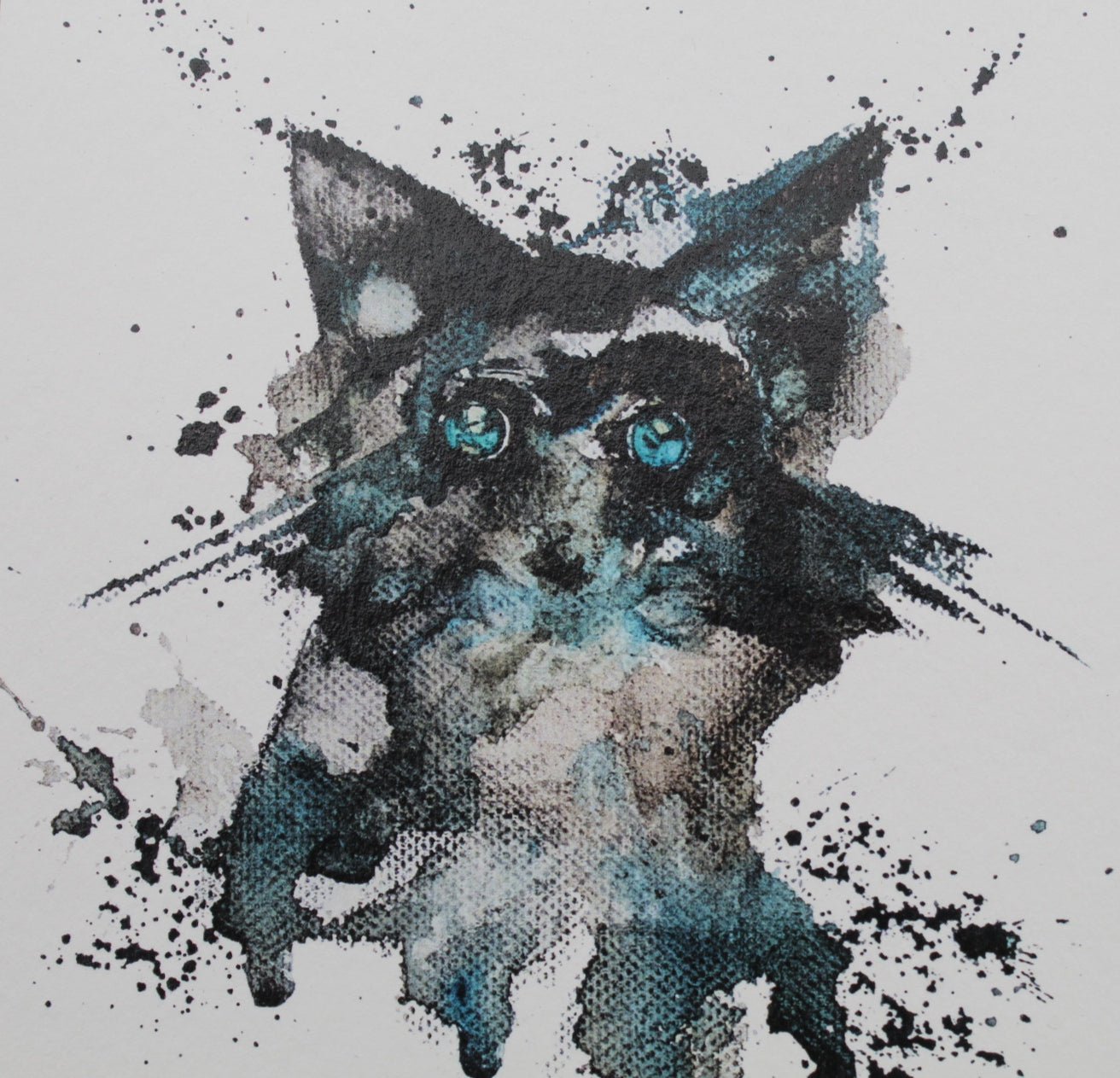Racoon Art Print