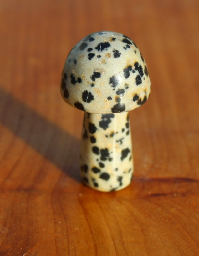 Dalmatian Jasper Small Mushroom Carving.