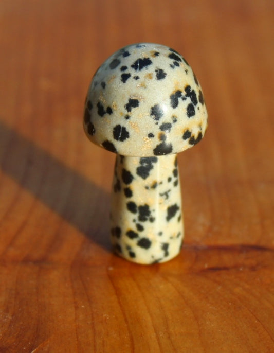 Dalmatian Jasper Small Mushroom Carving.