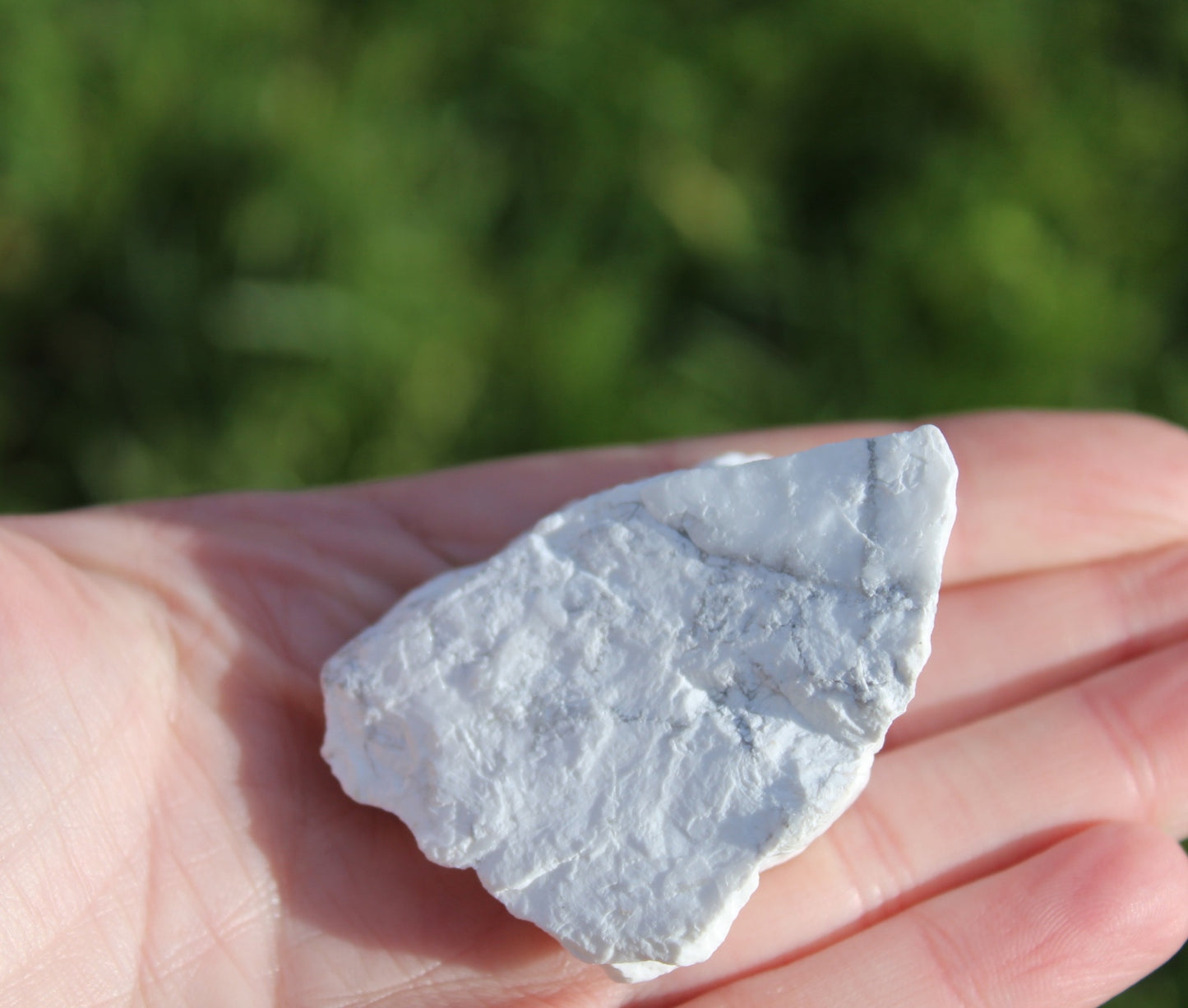 Howlite Rough Pieces