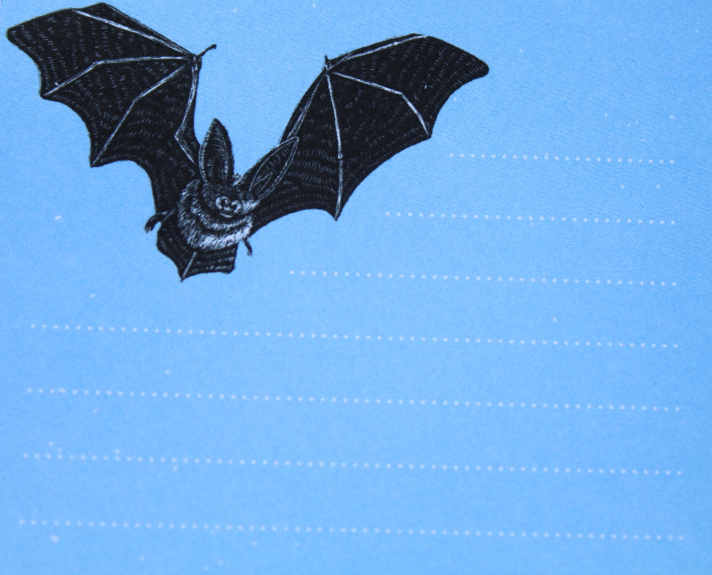 Bat Note Pad A7