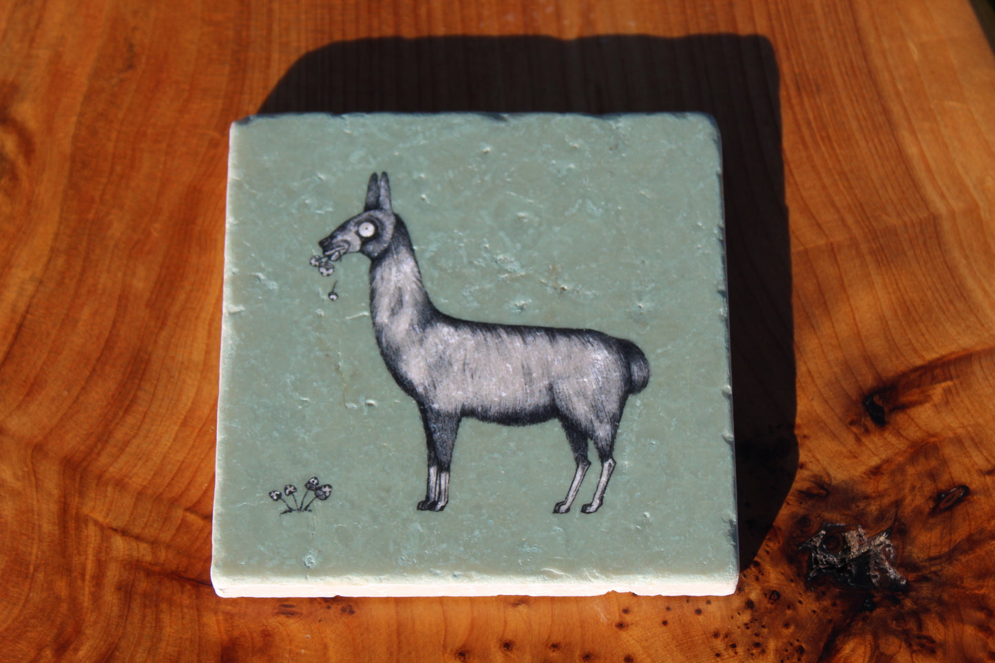 Lhama Coaster