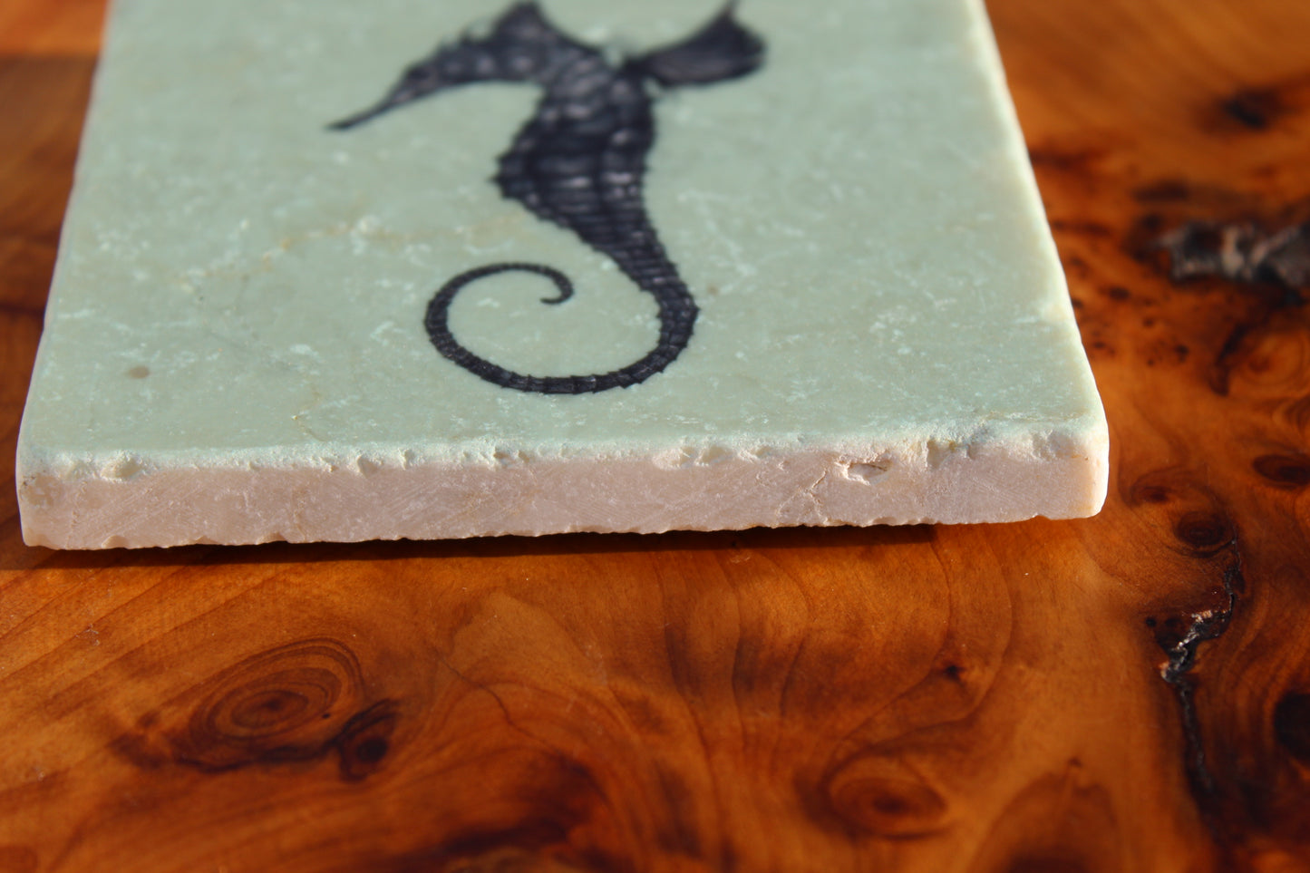 Seahorse Tile Coaster