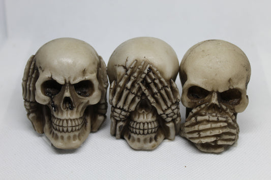 Skull Ornaments